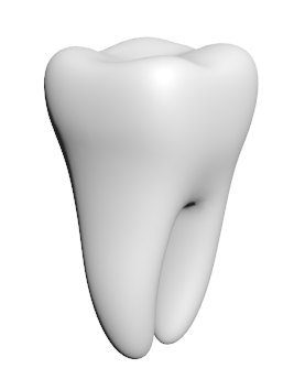 Jam's tooth