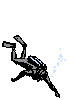 jolly roger