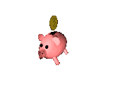 55904