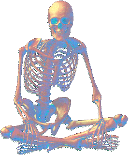 jolly roger
