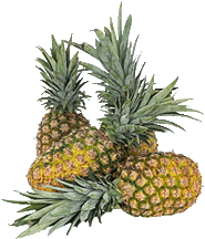 pineapple (4)