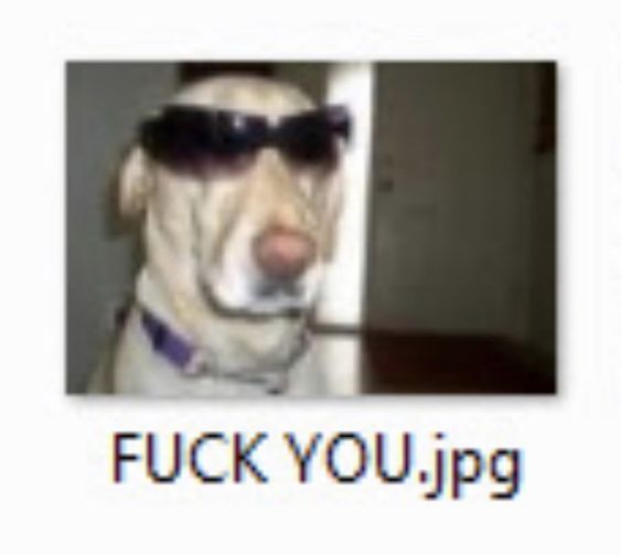 FUCK YOU